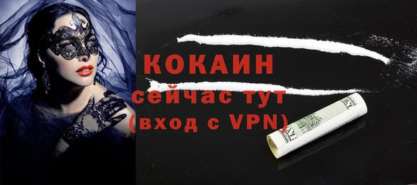 mix Богородицк
