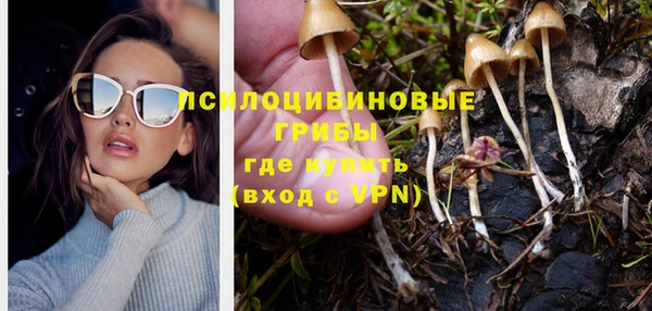 твердый Армянск